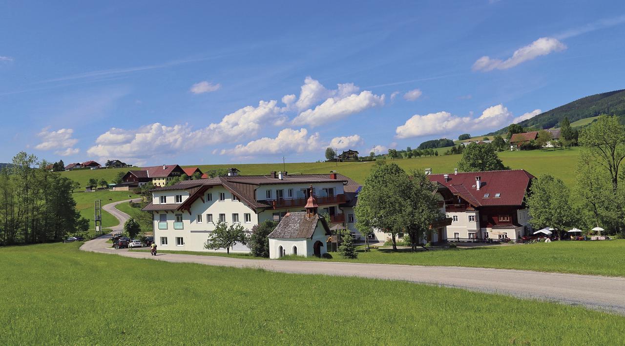 Erlachmuehle Mondsee Bagian luar foto